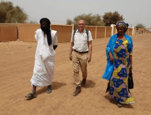 Du typha pour un futur lotissement à Dar el Barka (Mauritanie)