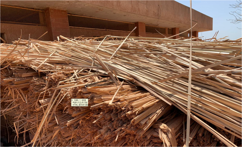 s-n-gal-une-plateforme-typha-dans-la-r-gion-de-saint-louis-tyccao